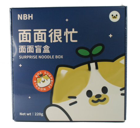 NBH Surprise Noodle Box #5 220g