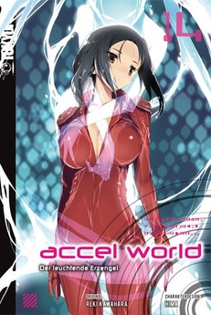 Accel World - Novel #14