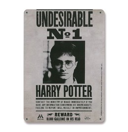Harry Potter Blechschild - Undesirable No.1