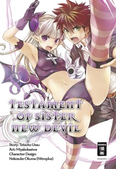 Testament of Sister New Devil 08