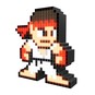 Pixel Pals - Hot Ryu 023