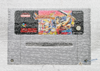 Breath of Fire II SNES MODUL