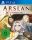 Arslan: The Warriors of Legend - PlayStation 4