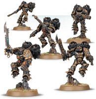 Citadel Miniatures  WAR: CSM  RAPTORS