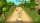 Ultimate Runner - Nintendo Switch