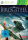 Birds of Steel  XB360