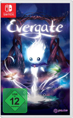 Evergate - Nintendo Switch