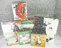 Naruto Shippuden Ultimate Ninja Storm 4 CE - Xbox One