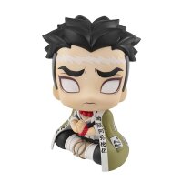 Gyomei Himejima - Demon Slayer: Kimetsu no Yaiba - Look...