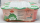 Nata de Coco Peach Flavor 6-Pack 1,14 Kg