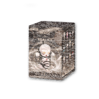 Popmart x Skullpanda Blind Box