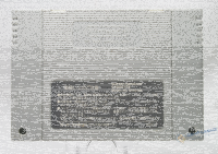 Super Donkey Kong NTSC SNES(Famicom) MODUL