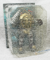BioShock Collectors Edition PEGI XB360
